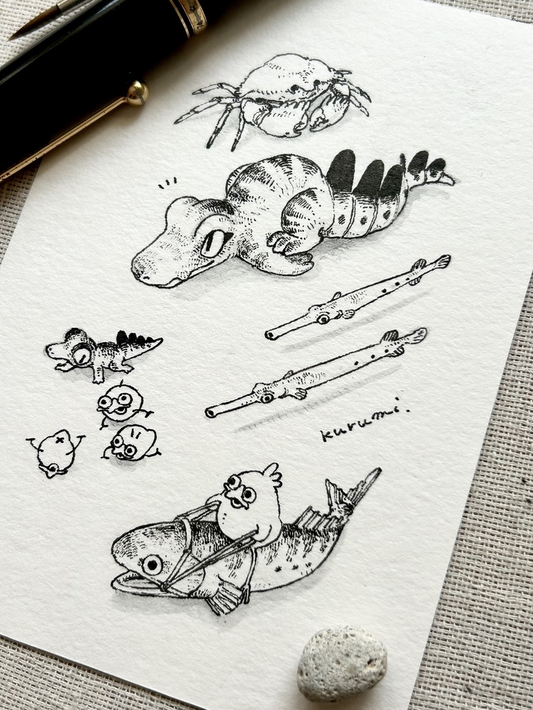 泳いで走って乗って🐟