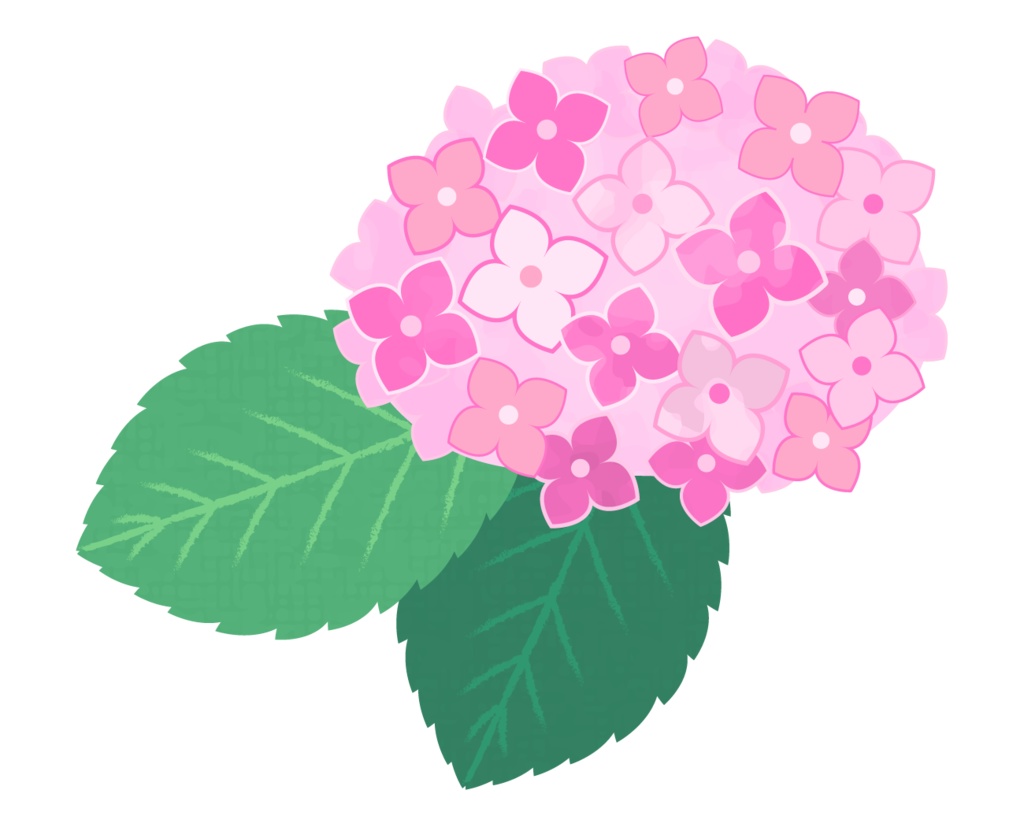 フリーイラスト素材 紫陽花