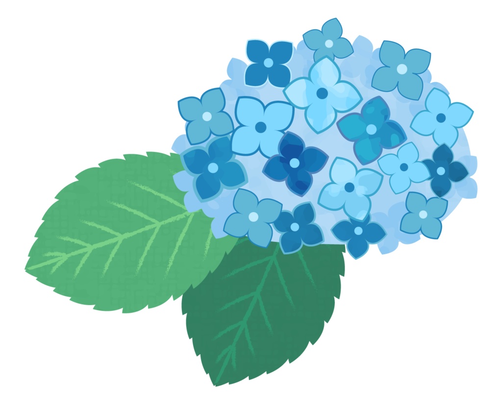 フリーイラスト素材 紫陽花