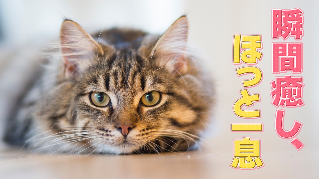 【時短】Photoshop 「テロップデザイン100種類」FILE02 可愛い系編