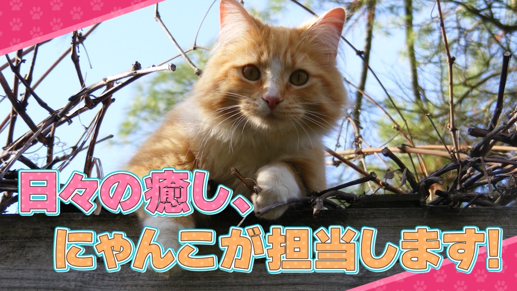 【時短】Photoshop 「テロップデザイン100種類」FILE02 可愛い系編