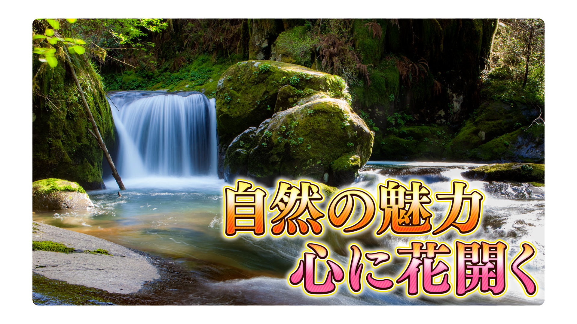 Talop 【Photoshop】テレビ風 テロップテンプレート集 600選 - talop - BOOTH