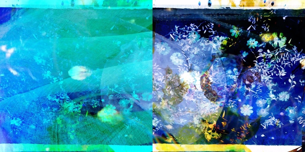 北島とわ / 《Tuning the cell_》 wAV ver,