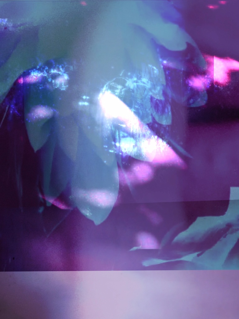 Portowal birch / silent poets 静けさについて