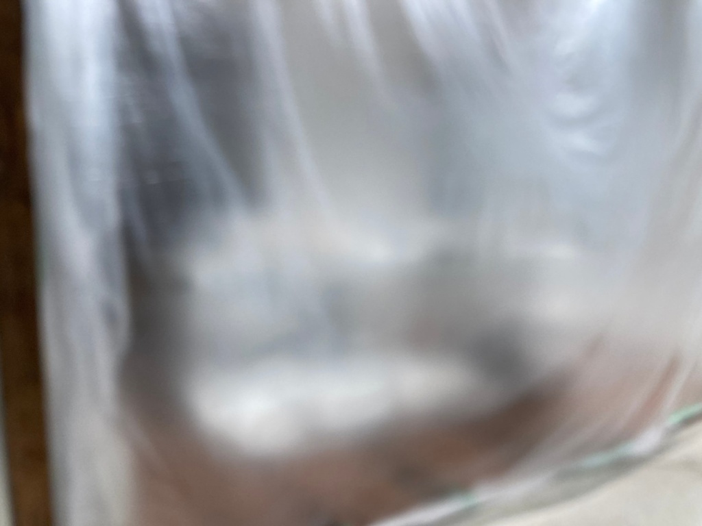 Tuning tha cell_ 2,sound material album / 北島とわ