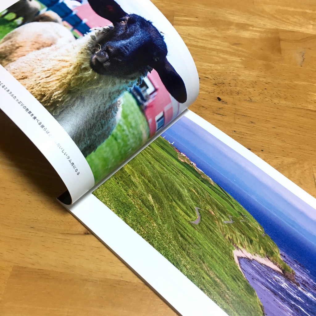 ISLANDSCAPE II -日本の離島で見た風景-