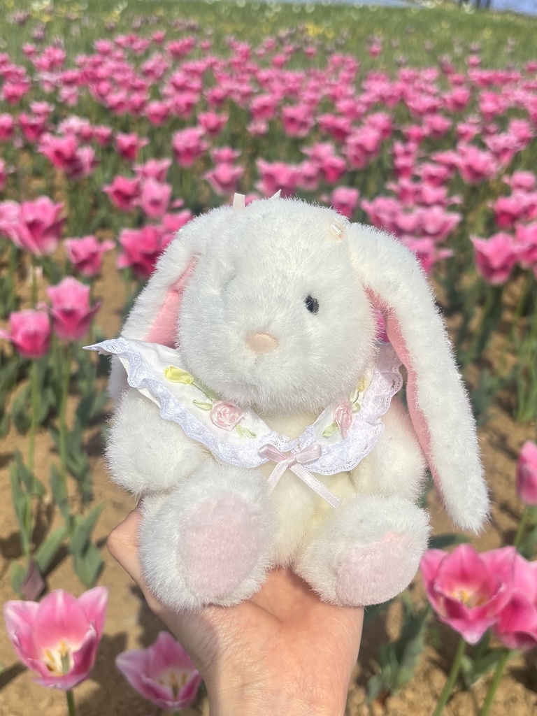 お花の刺繍つけえり