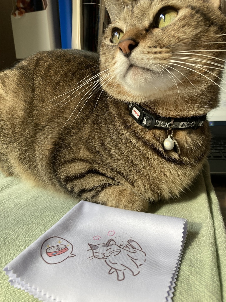 にゃんこ主従メガネ拭き