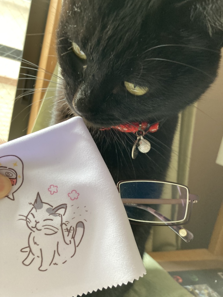 にゃんこ主従メガネ拭き