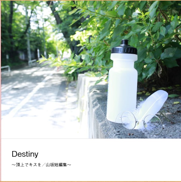 Destiny ～山坂短編集～