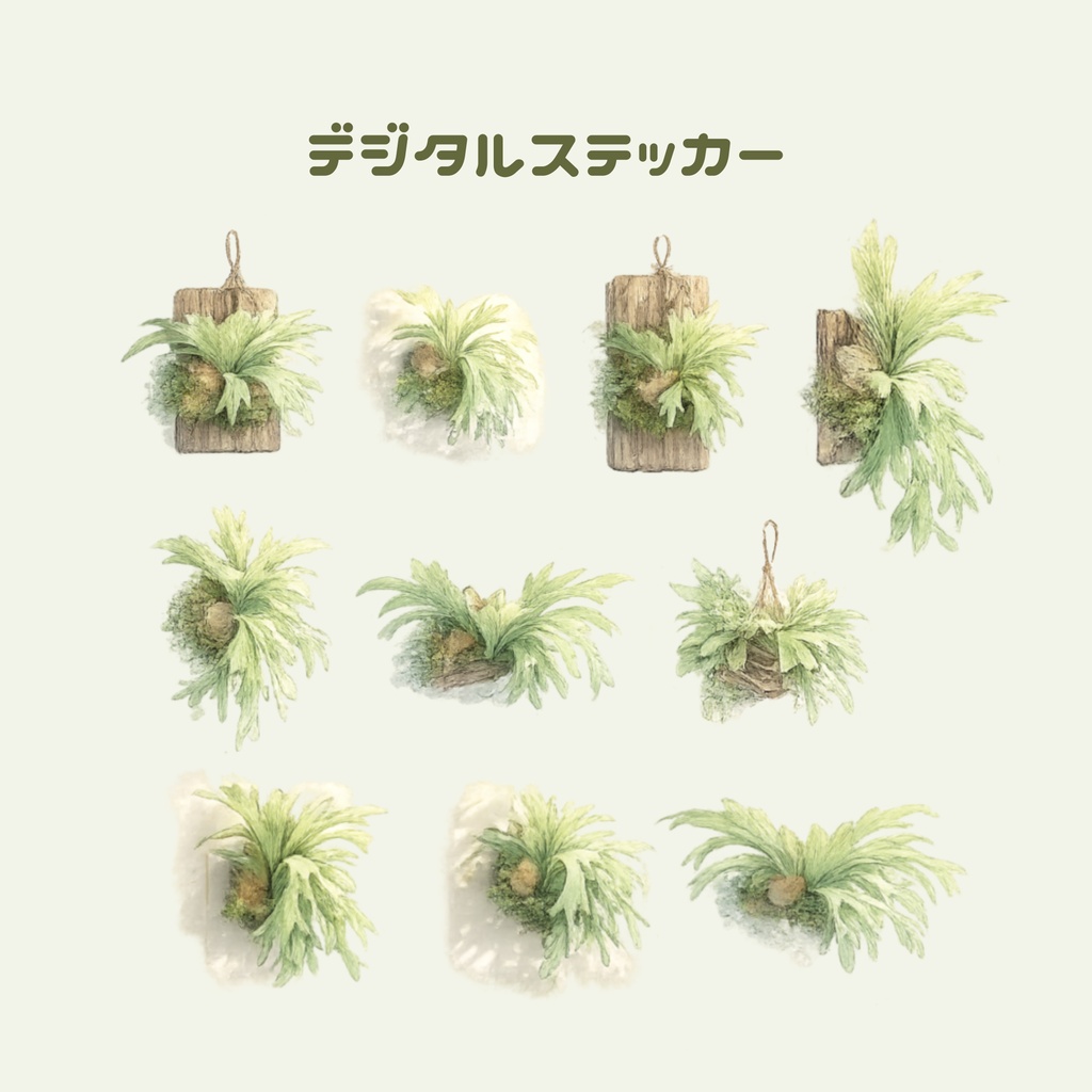 【デジタルステッカー】ビカクシダ