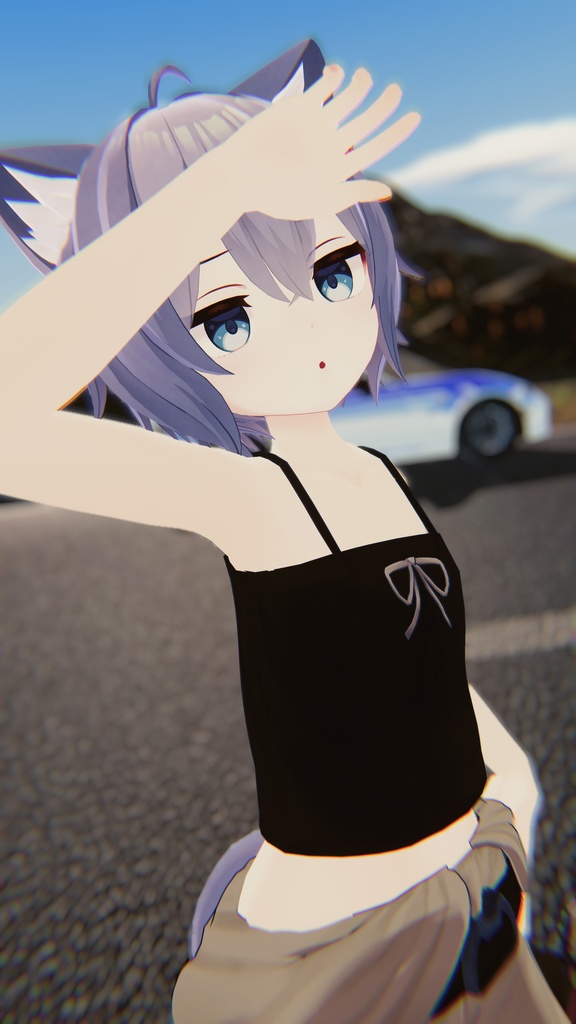 汎用12_さぎょにゃんこ