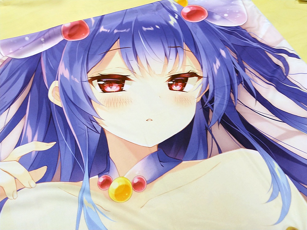 はじめでのノア枕カバー