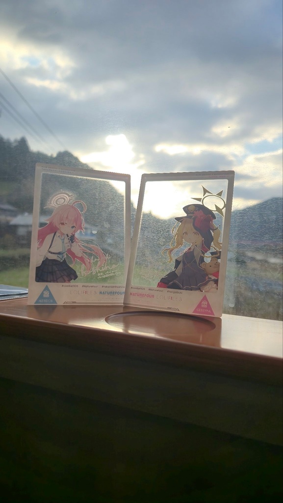 【C105】ブルアカ新刊セット(ホシノ)特典付き