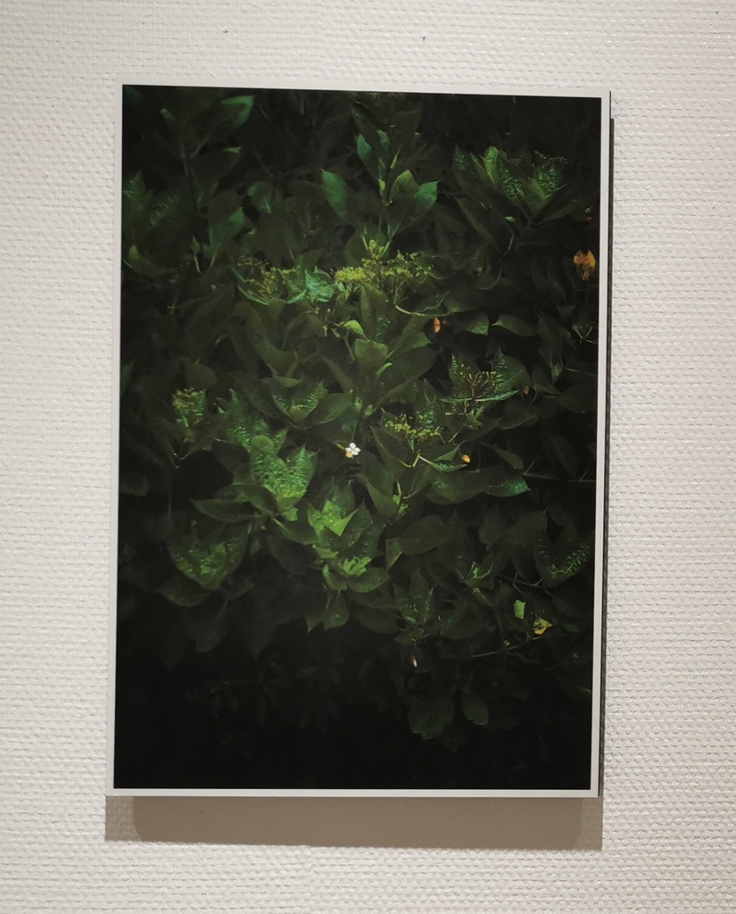 「ふたり」展示パネル現品 (photo by shin ikegami)