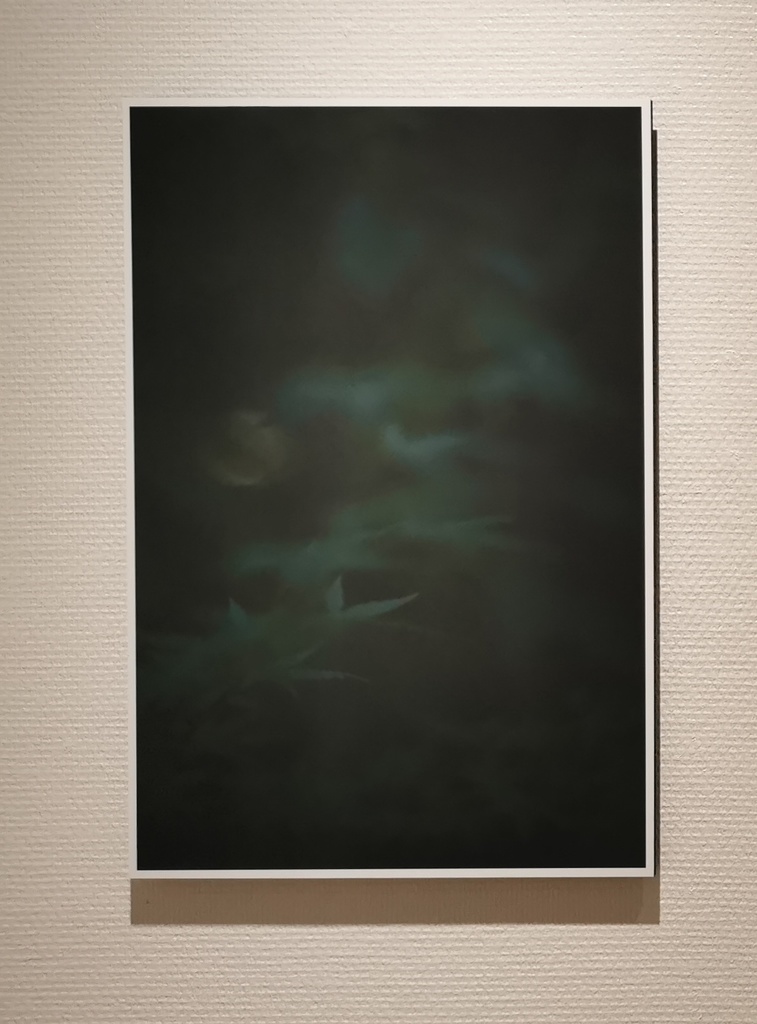 「ふたり」展示パネル現品 (photo by shin ikegami)