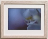 うちたびインチ額１