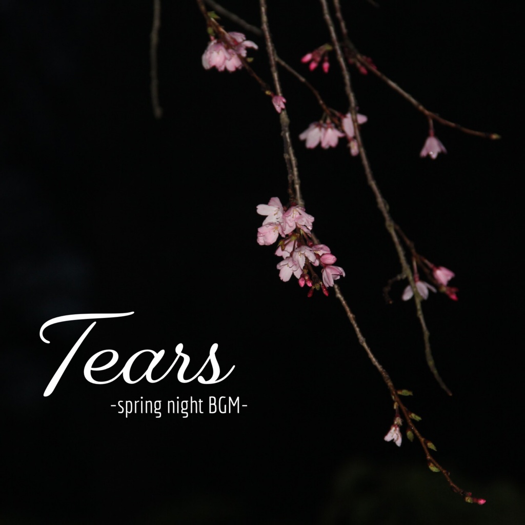 Tears -spring night BGM-