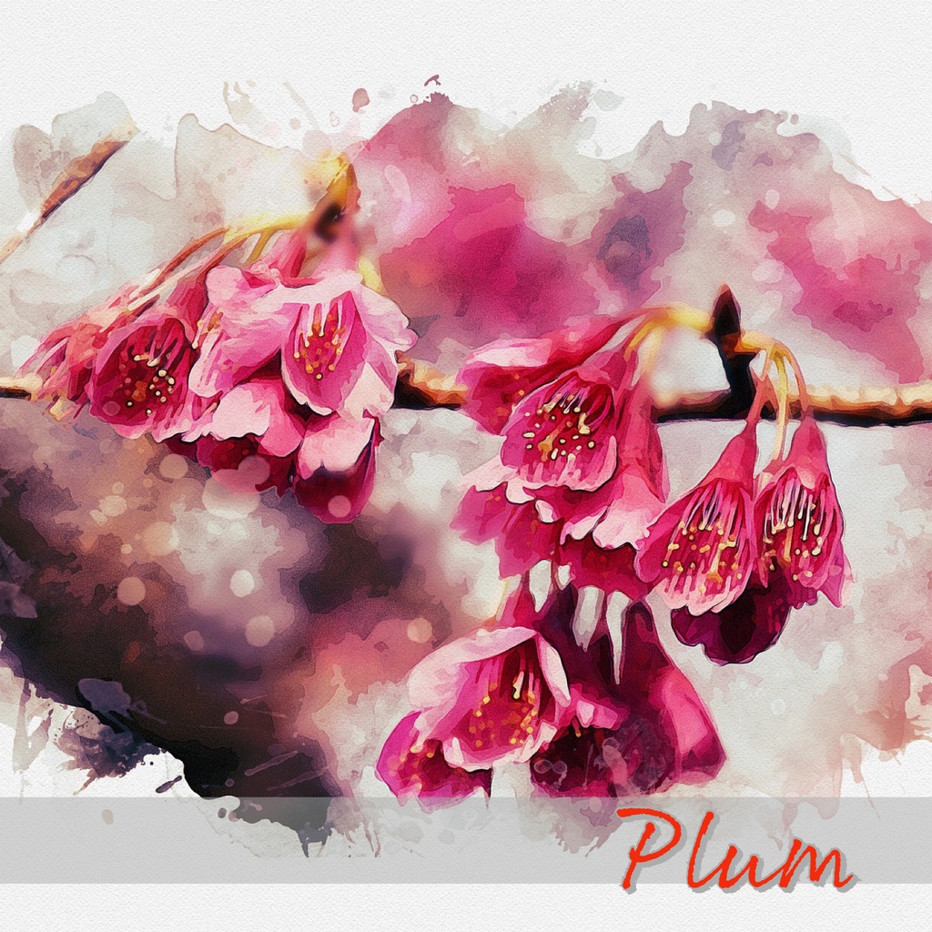 Plum