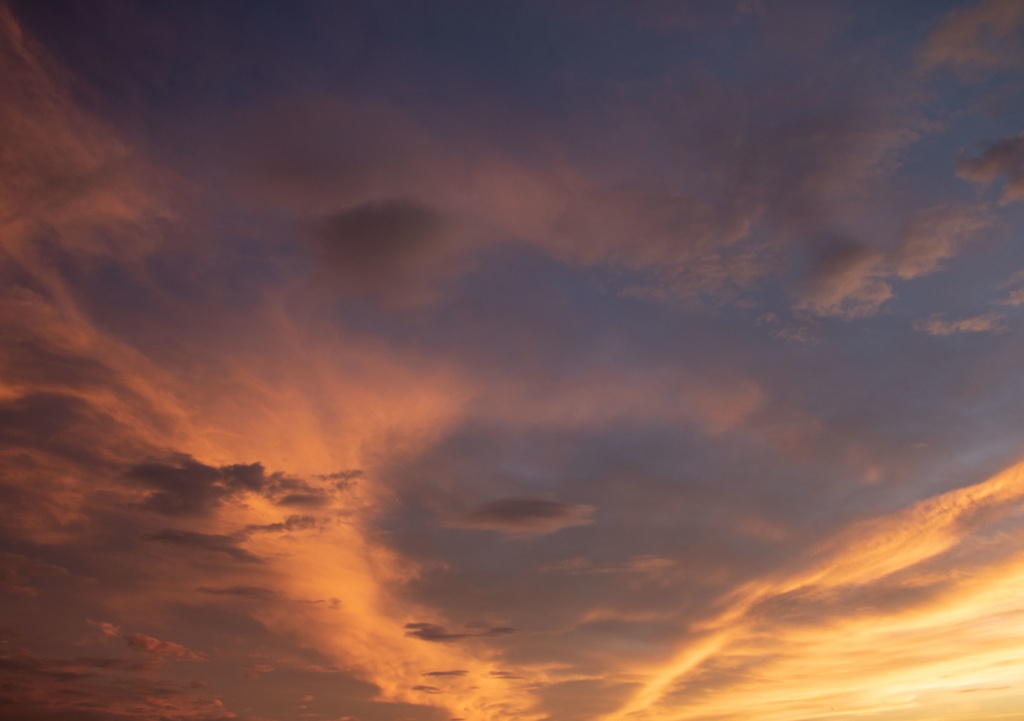 Fragments - Digital Photo Collection