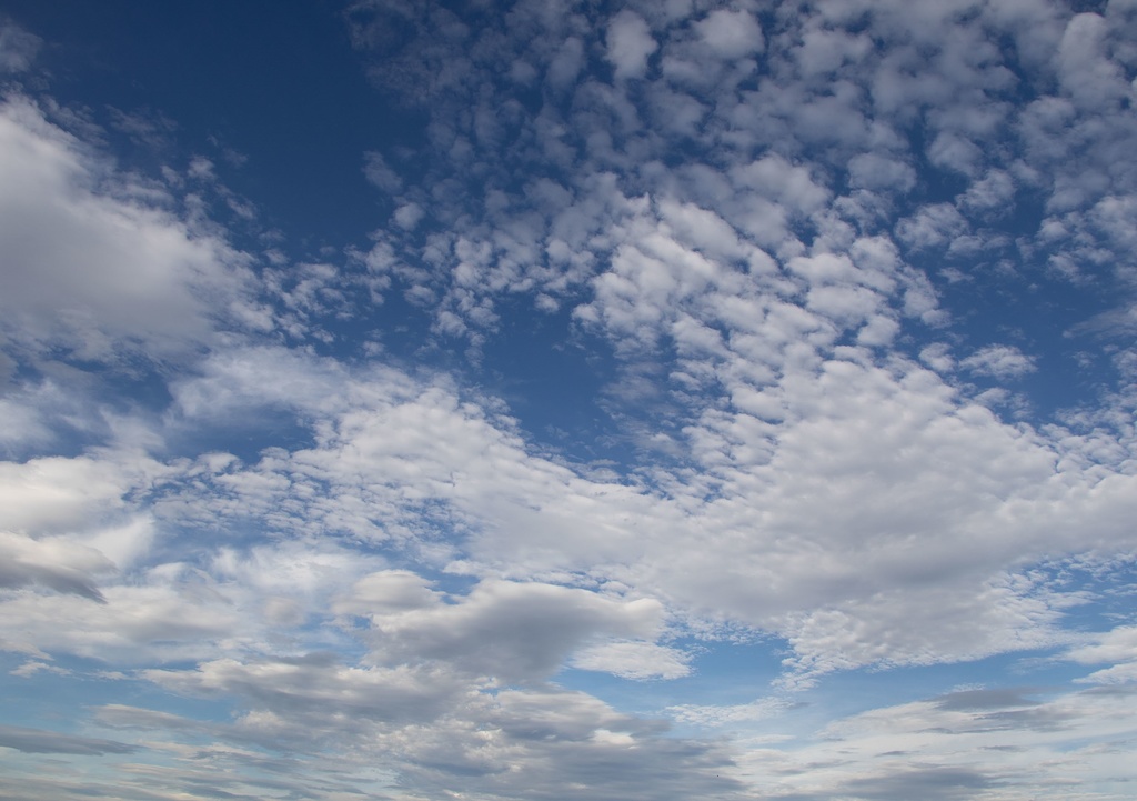 Fragments - Digital Photo Collection