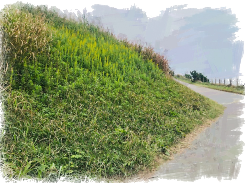 自然のグラデーション