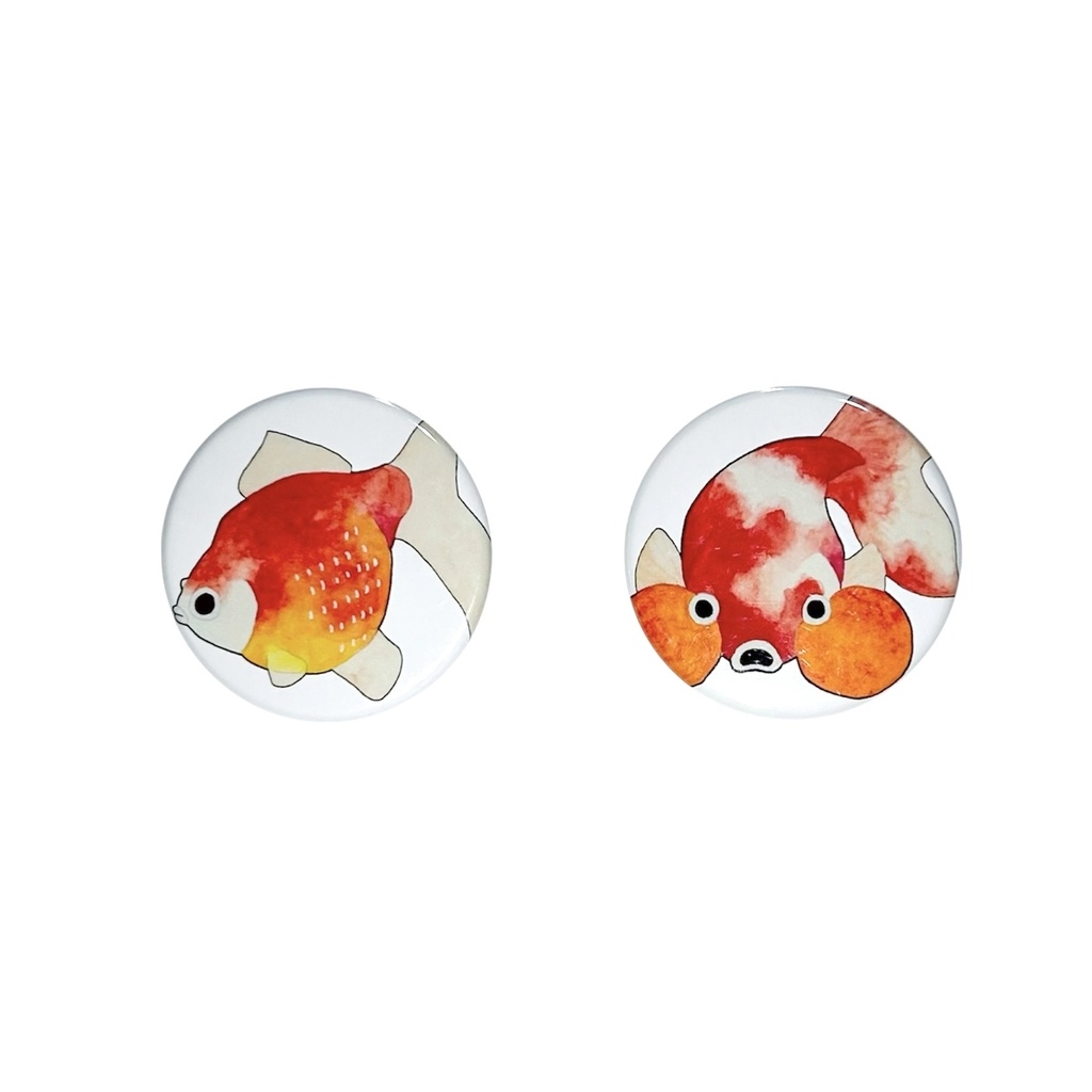 【缶バッジ 2個セット】金魚 ピンポンパール 水泡眼