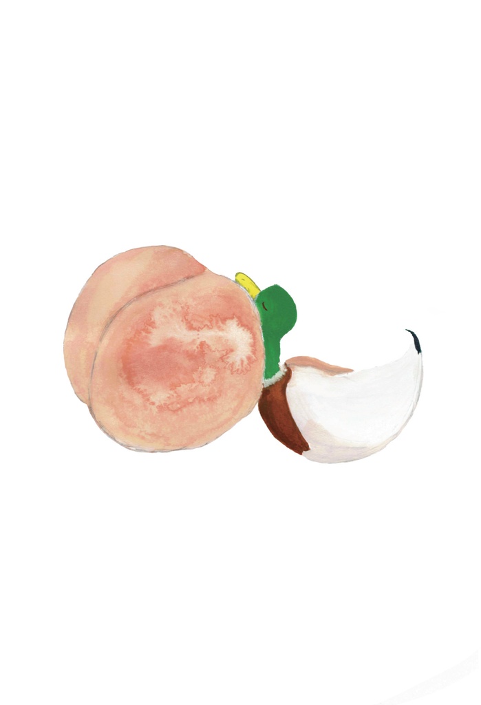 ももとかも