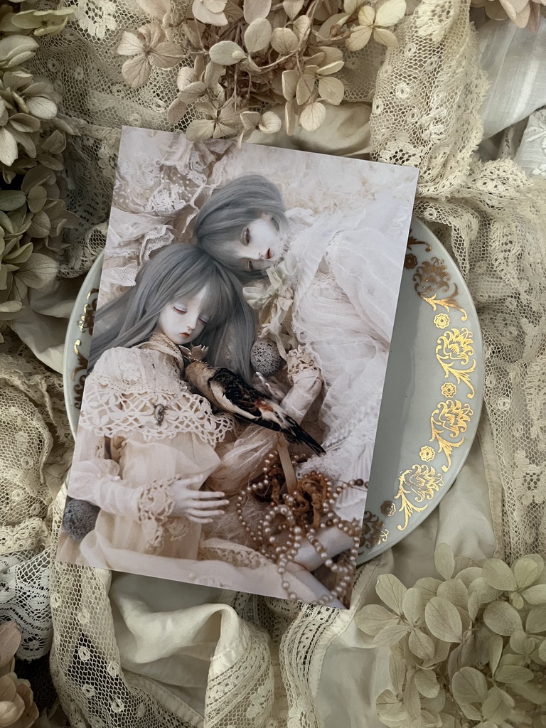 ポストカード20枚セット・2025