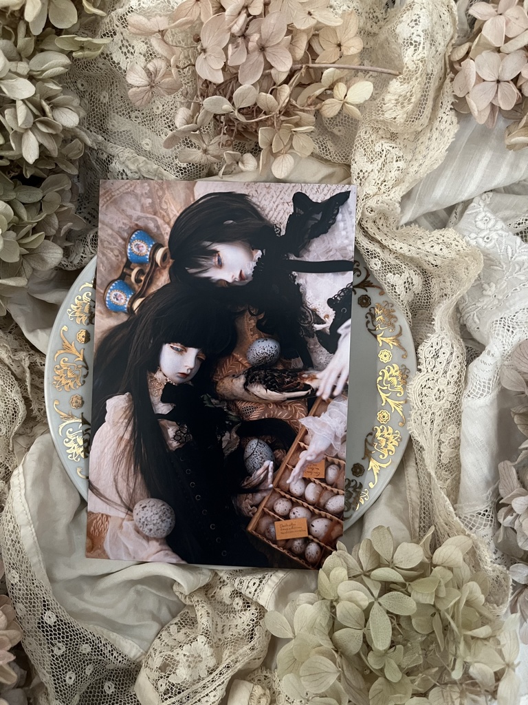 ポストカード20枚セット・2025