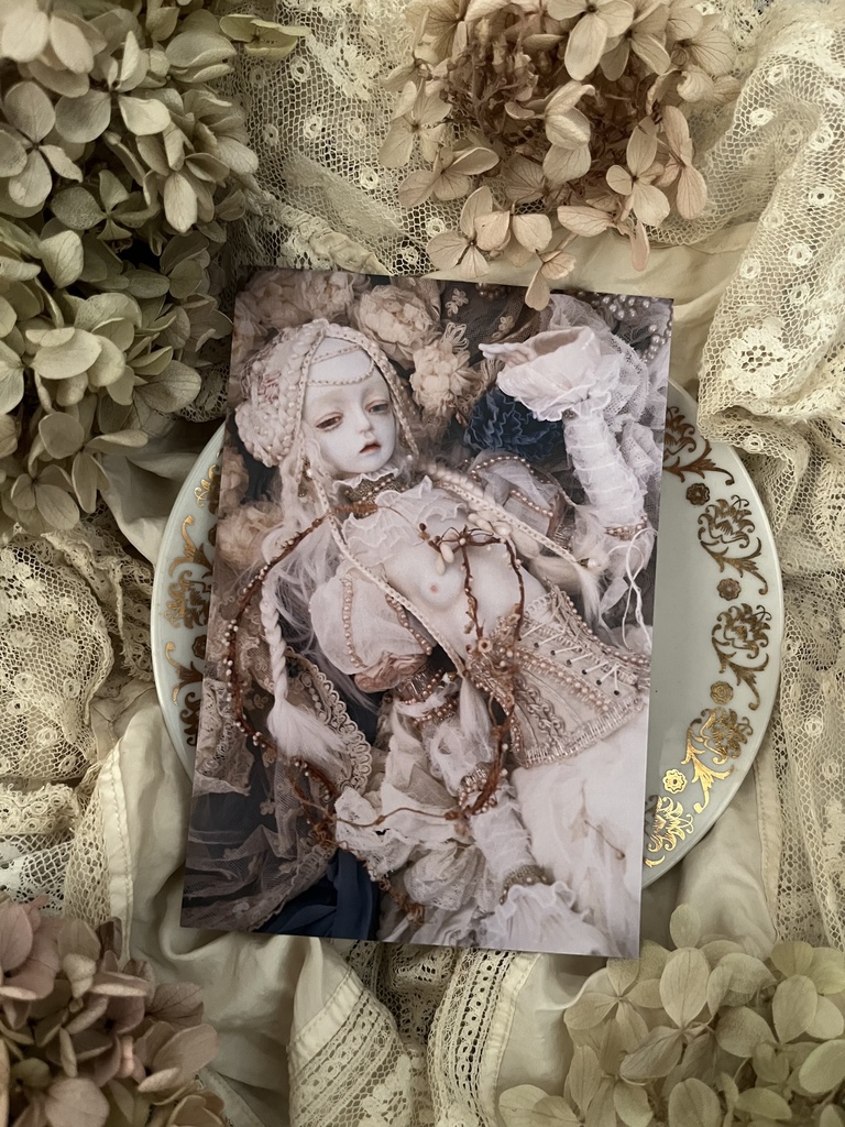 ポストカード20枚セット・2025