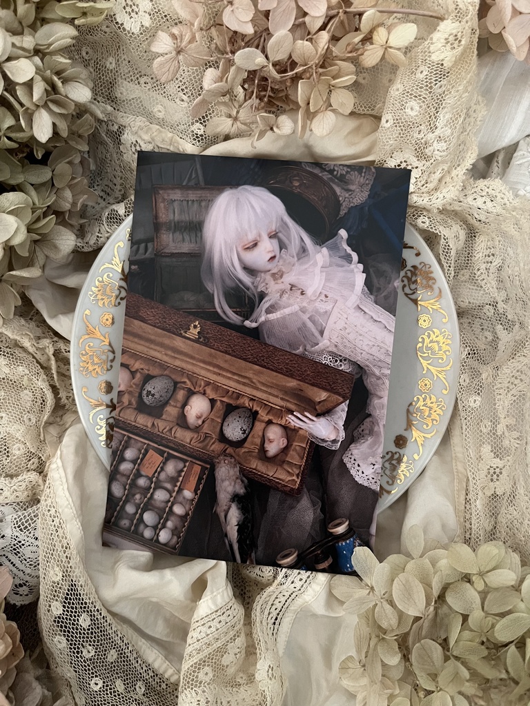 ポストカード20枚セット・2025