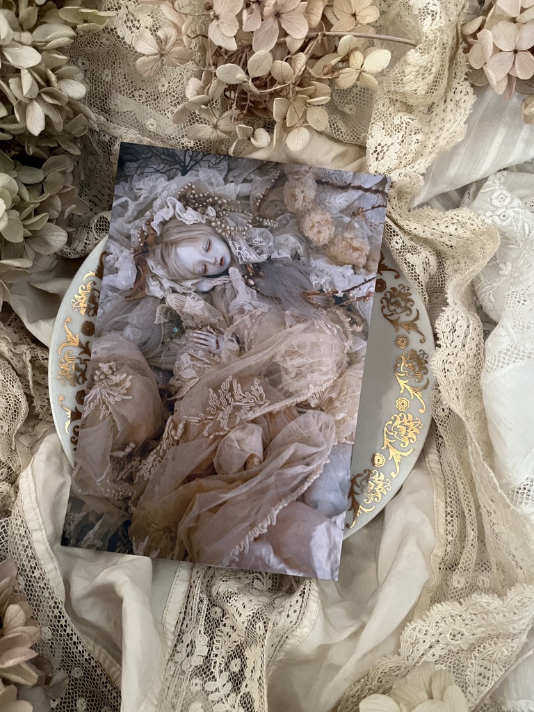 ポストカード20枚セット・2025