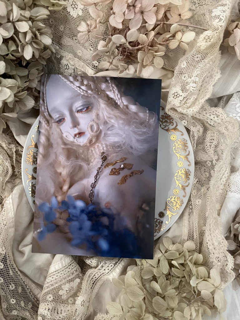 ポストカード20枚セット・2025