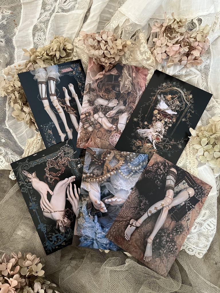 あんよポストカード6枚セット（2025年新作）