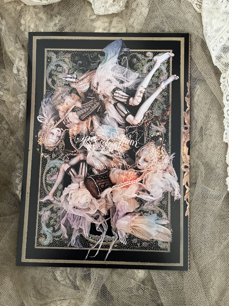 【ノベルティ付き】2025新商品セット