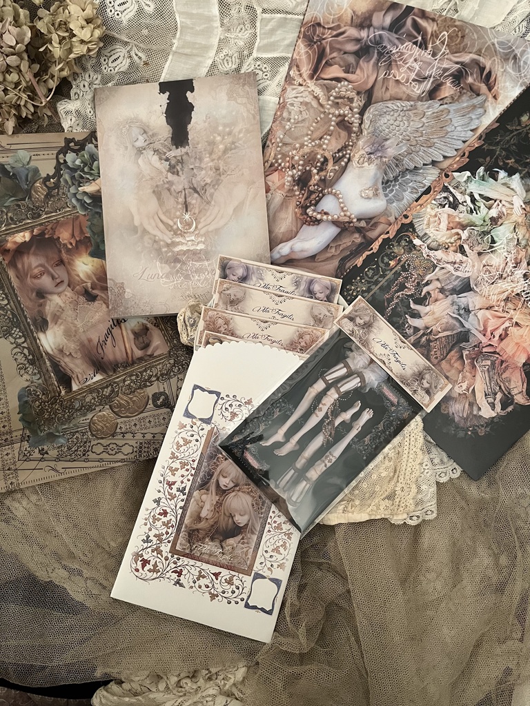 【ノベルティ付き】2025新商品セット