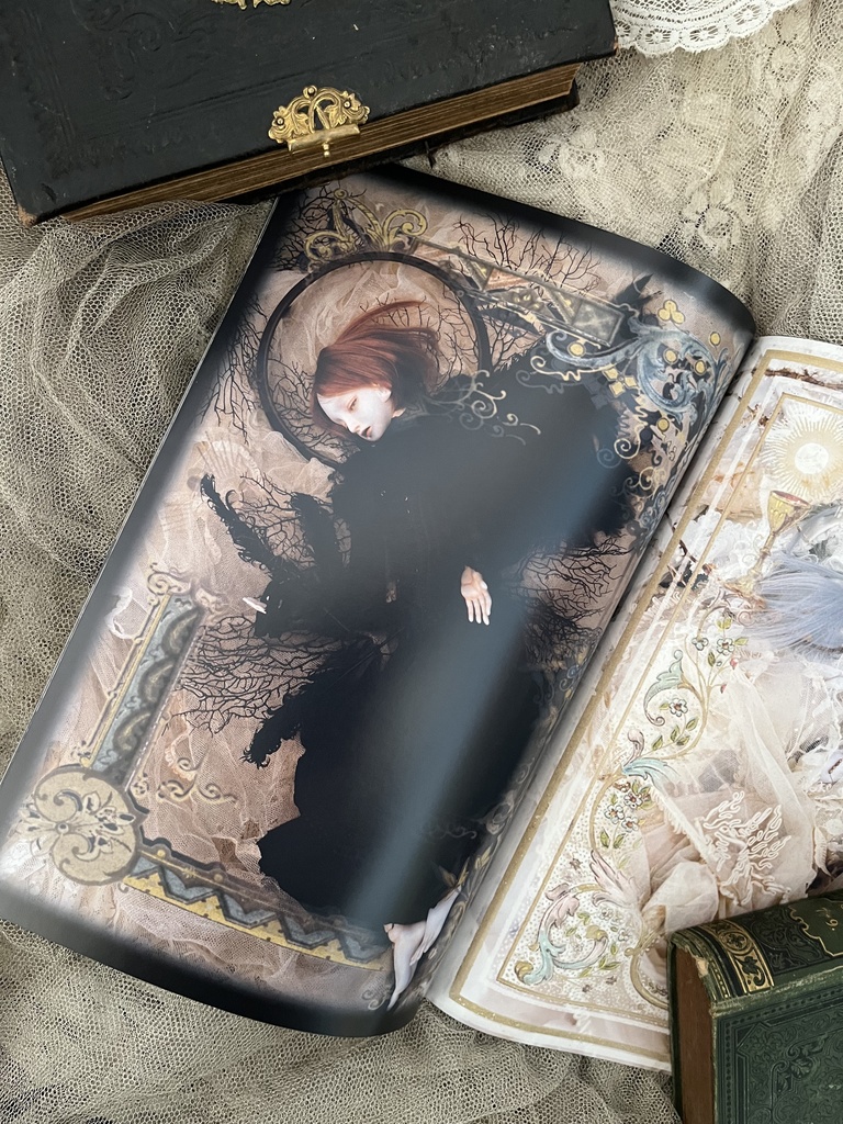 【ノベルティ付き】2025新商品セット