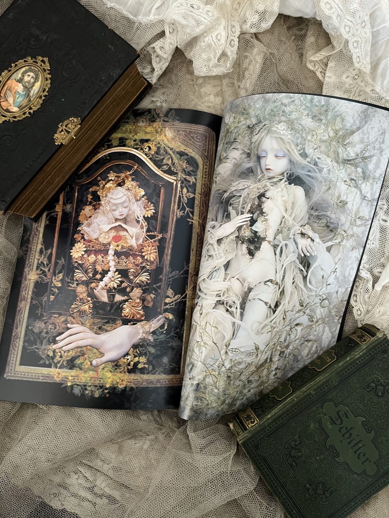 【ノベルティ付き】2025新商品セット