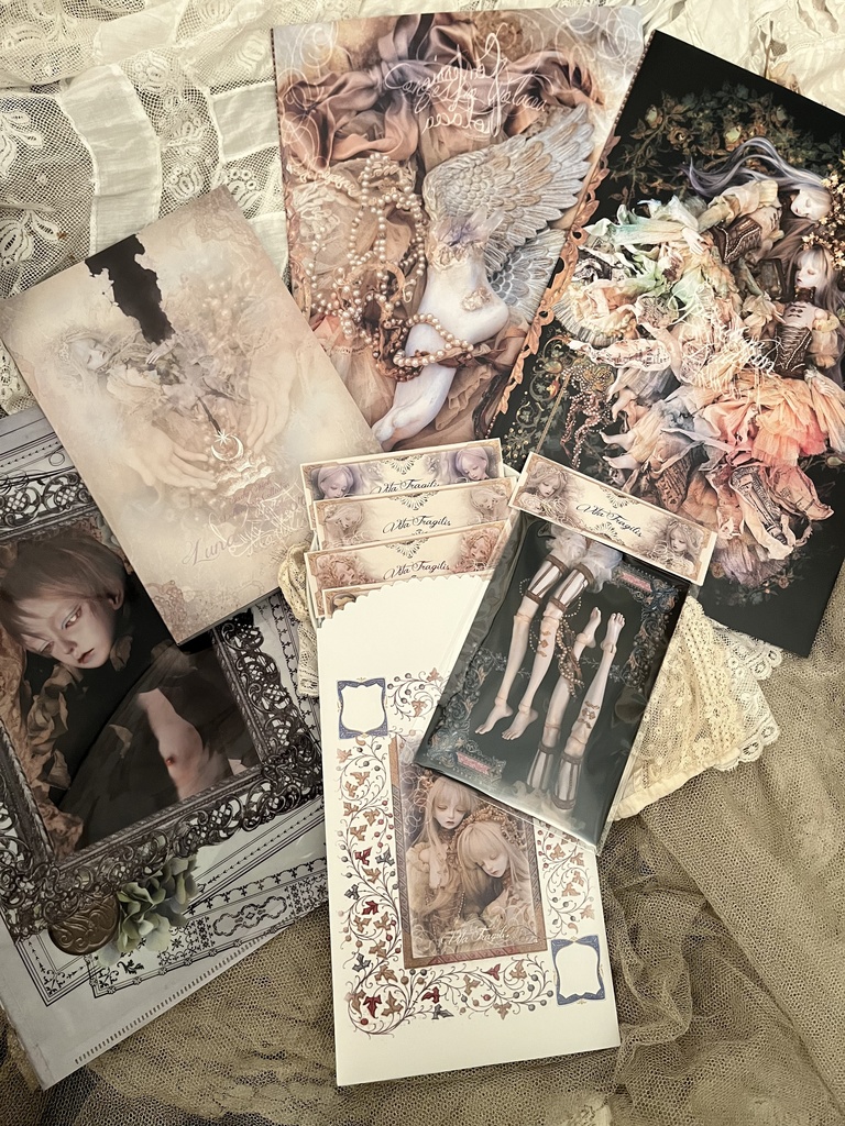 【ノベルティ付き】2025新商品セット