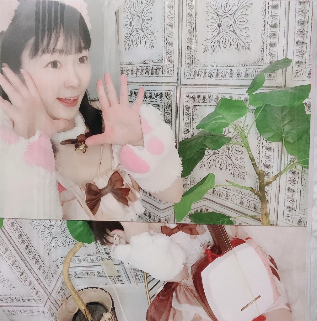 新曲CD三味線&朗読 「吾猫」ブロマイド写真付き※単品希望