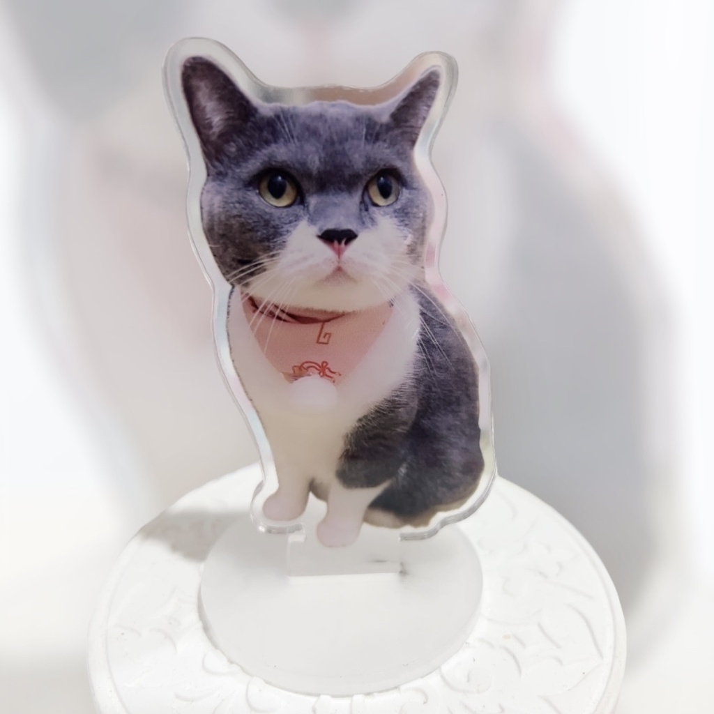 アクスタ「もも&さるりー」実写版