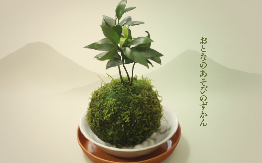 おとなのあそびのずかん vol1