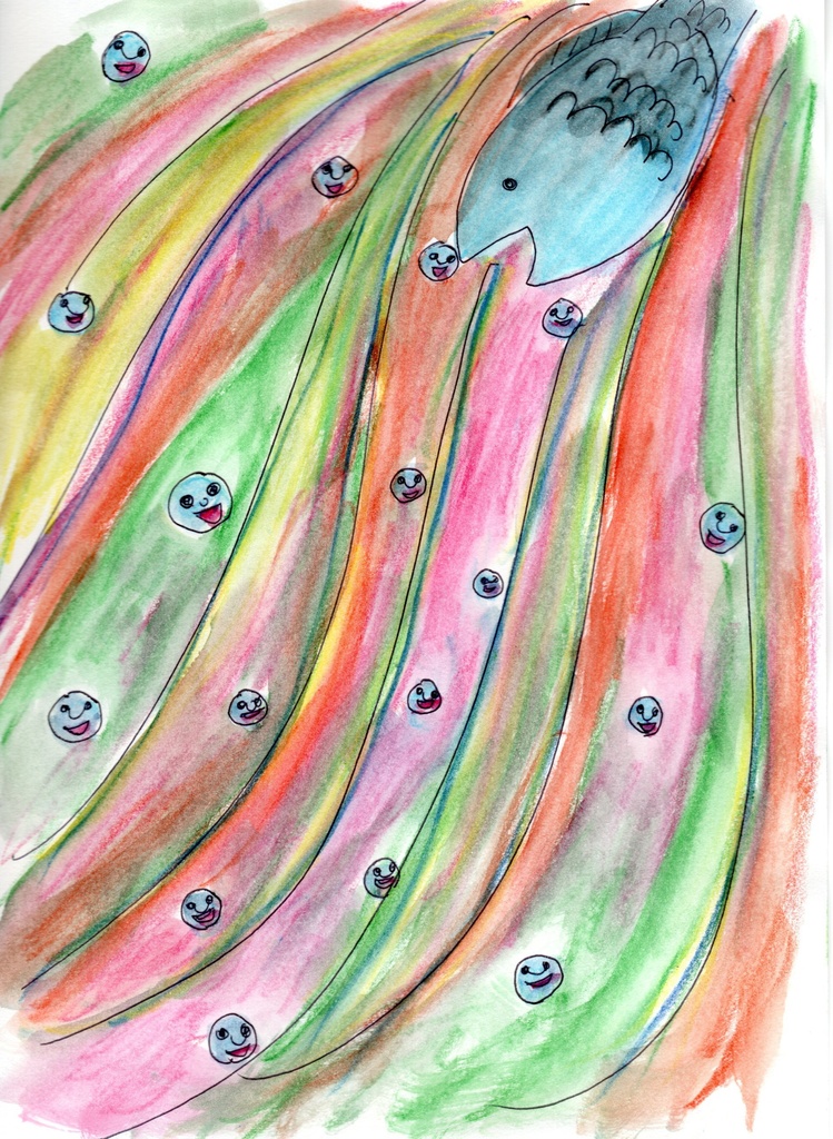 1日1枚21番目（魚）