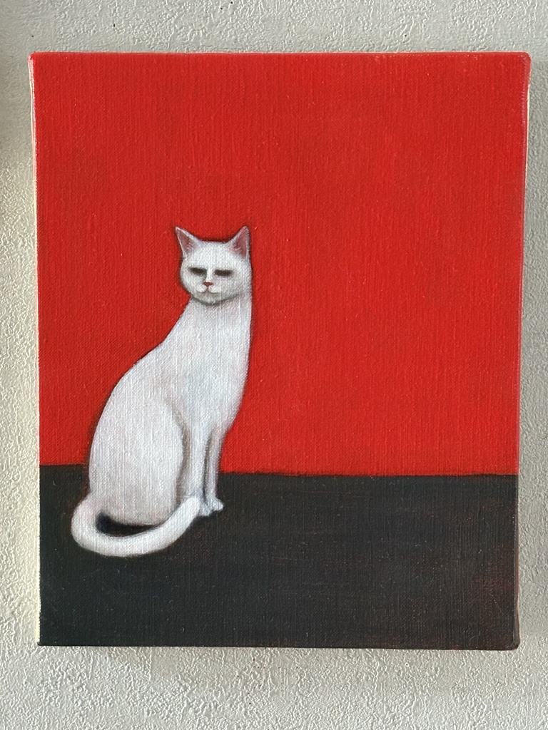 白い猫