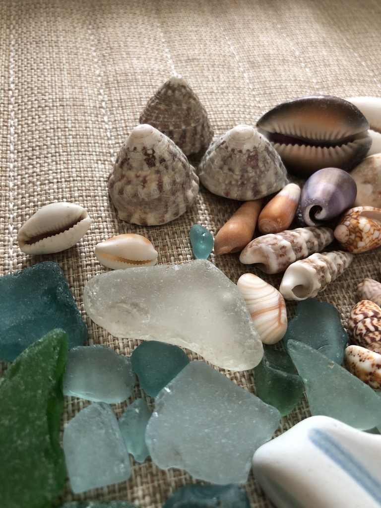 ๐ๆตทใใใฎใใใใใฎ๏ผ่ณผๅ
ฅ่
ใใพใธ๐ใใพใ๏ผ