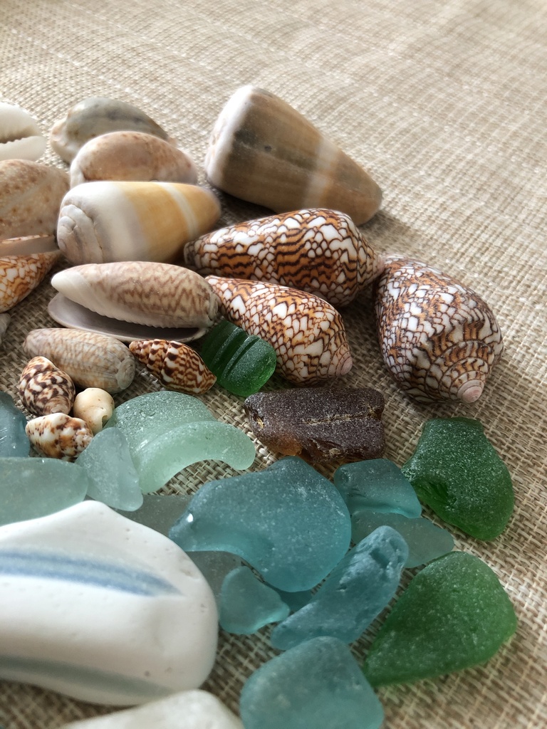 ๐ๆตทใใใฎใใใใใฎ๏ผ่ณผๅ
ฅ่
ใใพใธ๐ใใพใ๏ผ