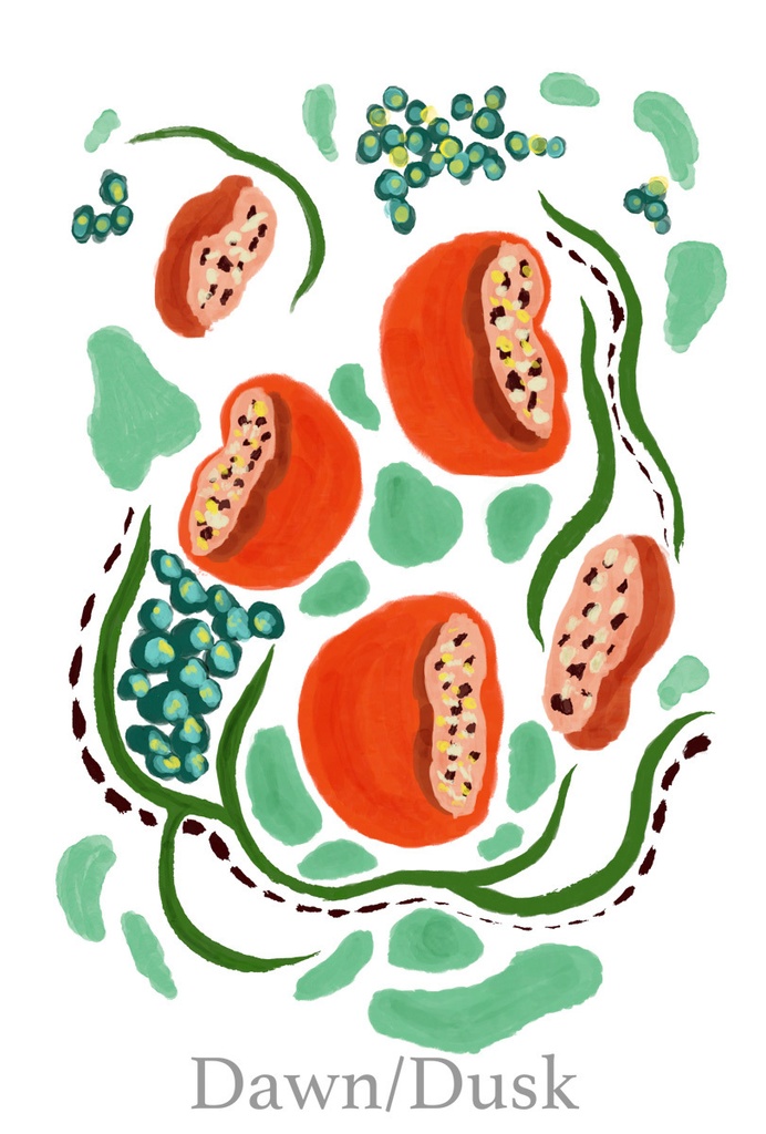 ”Pomegranates” Zipped Hoodie