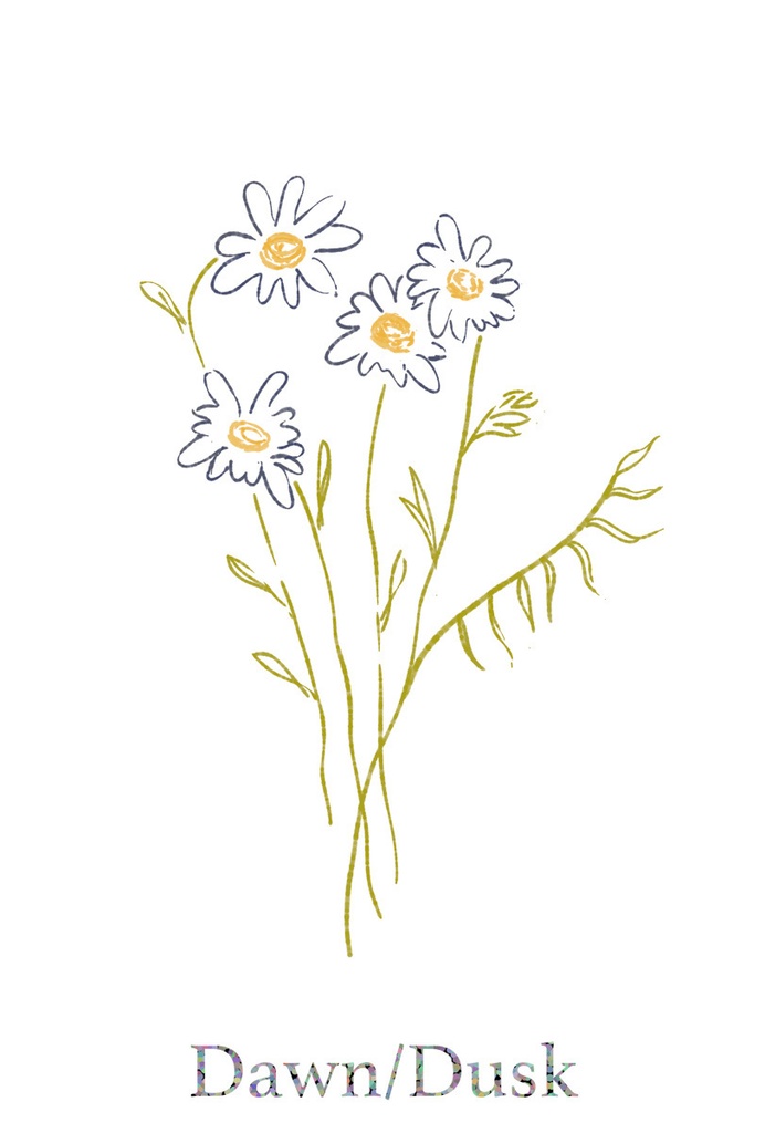 ”Cosmos” Zipped Hoodie