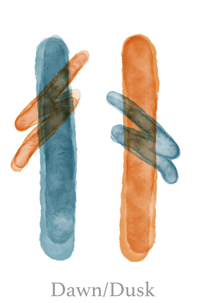 ”D&D Orange and Blue” Hoodie Front Print